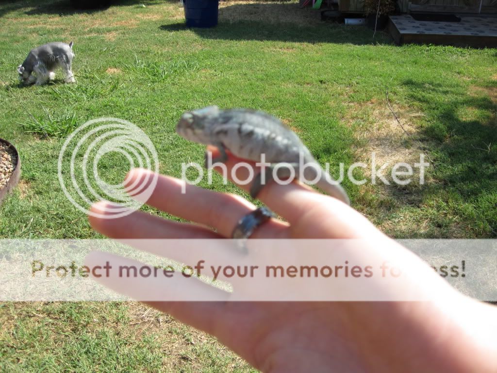 RangerAug2010005.jpg
