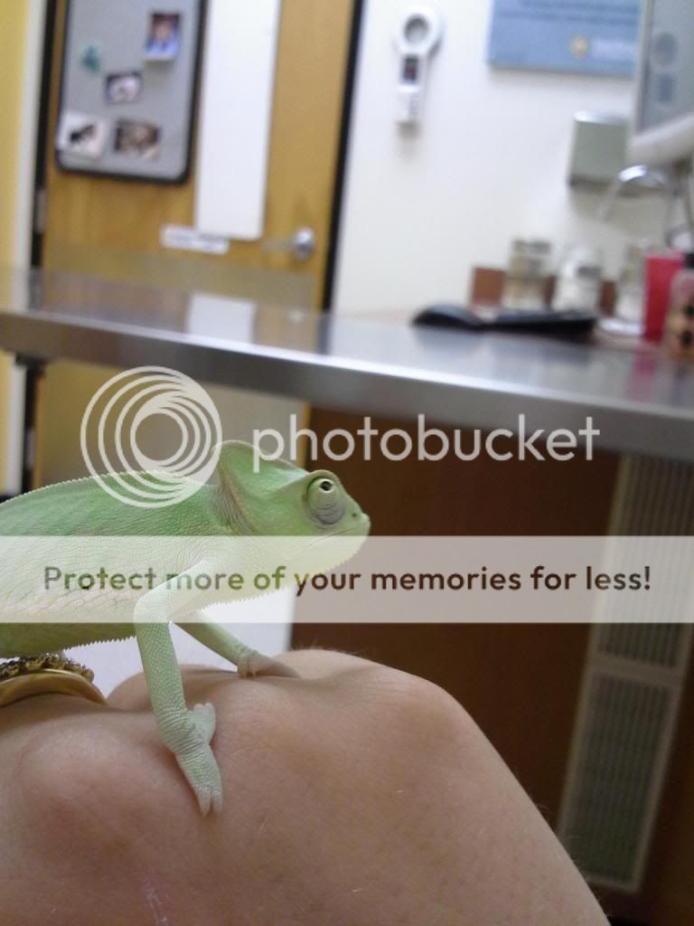 20130708_153308_zps6d9fe09a.jpg