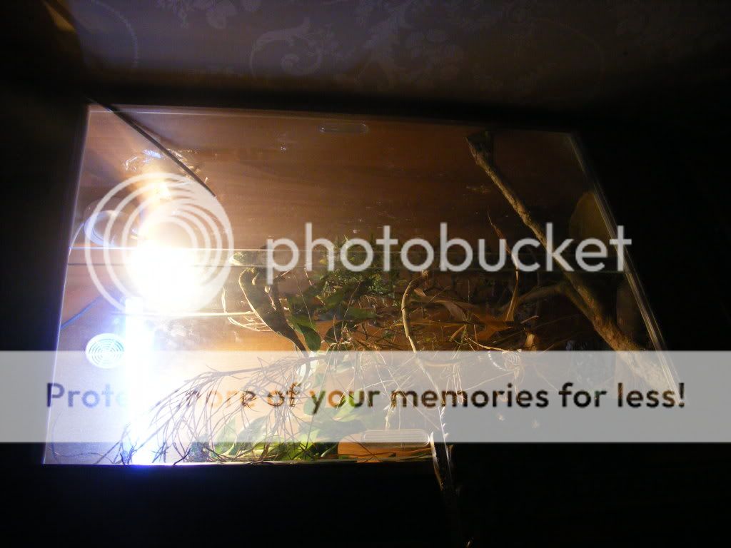 DSCF0373.jpg