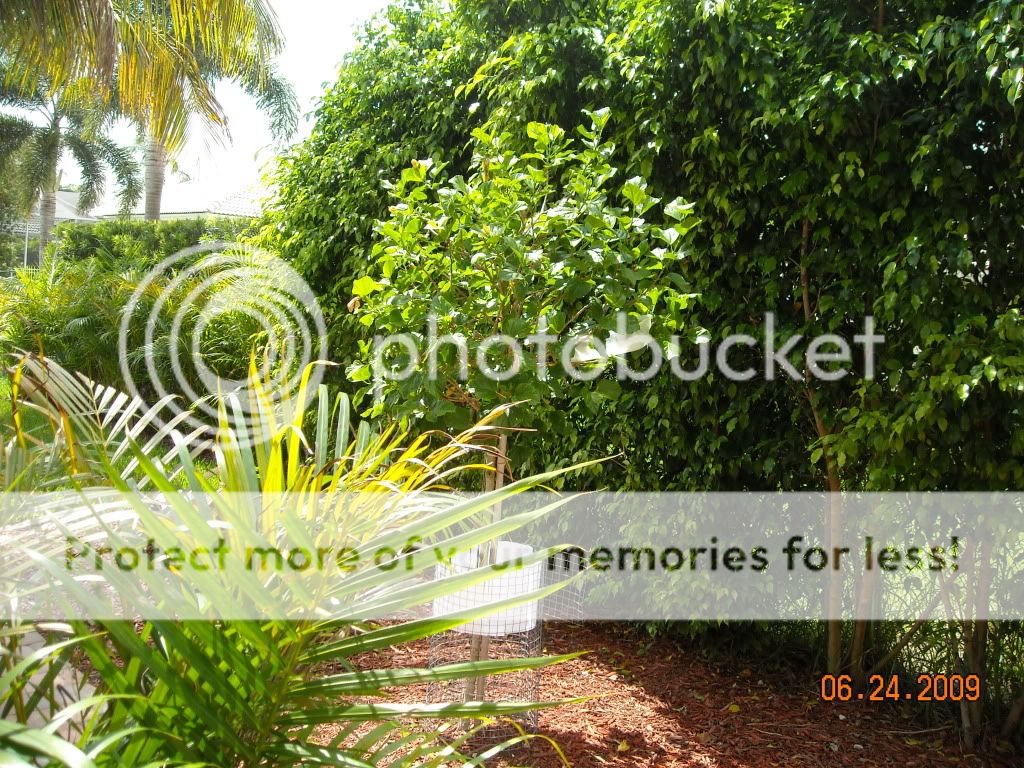 DSCN0195.jpg