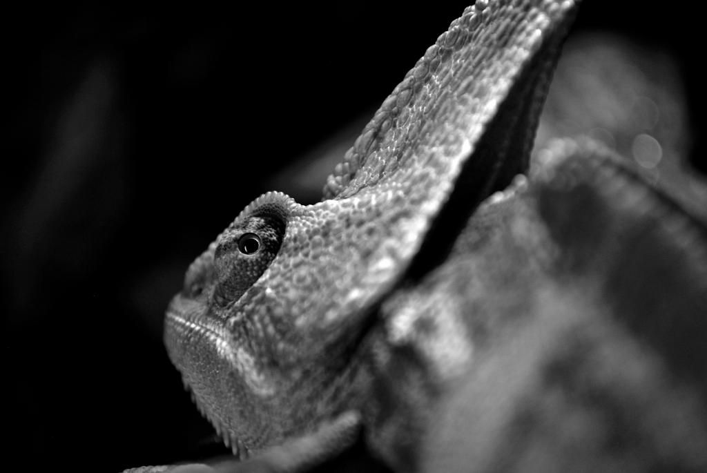 DSC_0144_zpsed0b0e32.jpg
