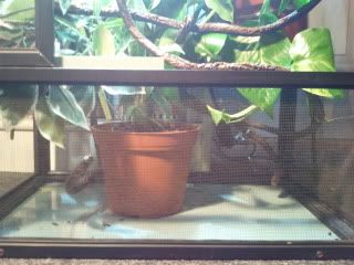 2011-06-07000414.jpg