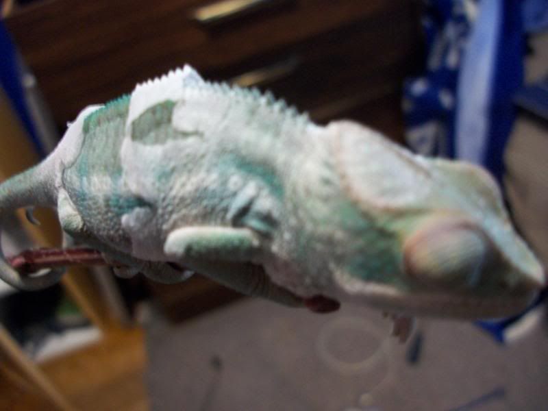 100_3017.jpg