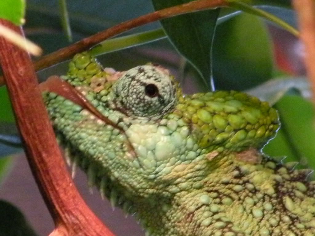 RSCN7448.jpg