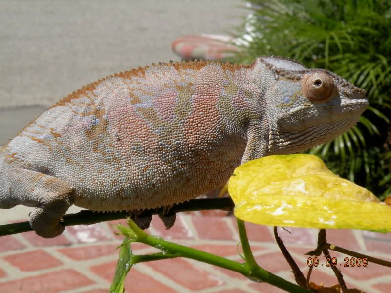 DSCN9013.jpg