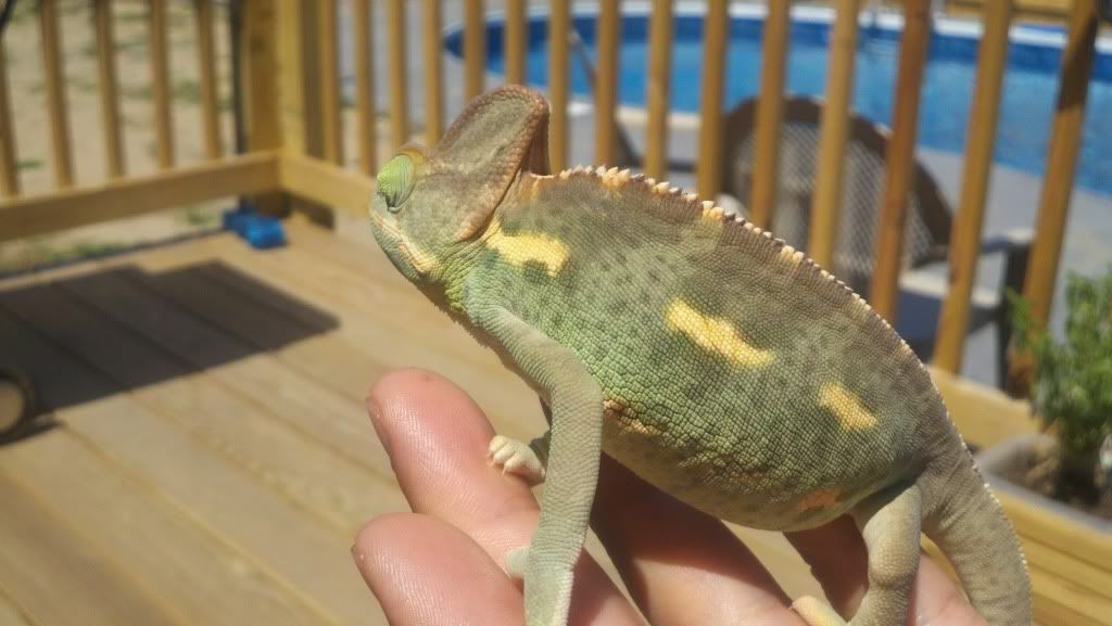 2011-08-02_12-25-47_813.jpg