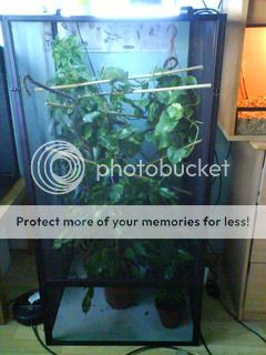 facebbookbabyfotos010.jpg