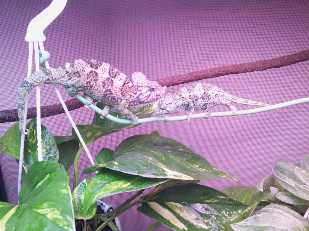 20120308_151155.jpg