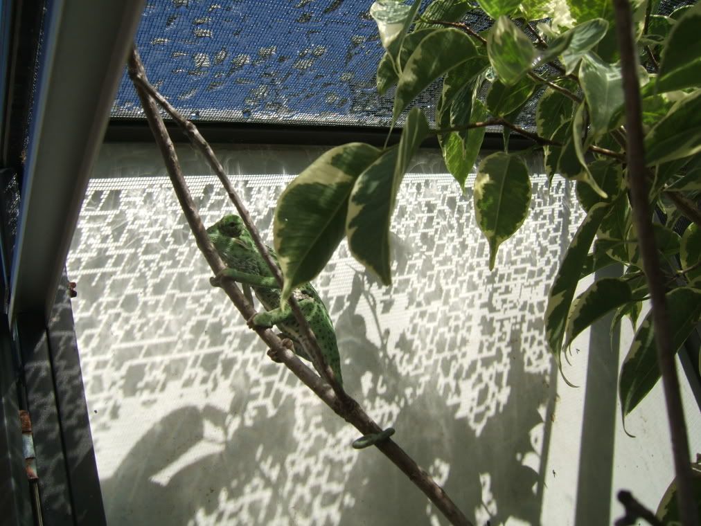 DSCF7775.jpg