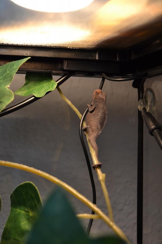 DSC_1969_zpsbd705f44.jpg