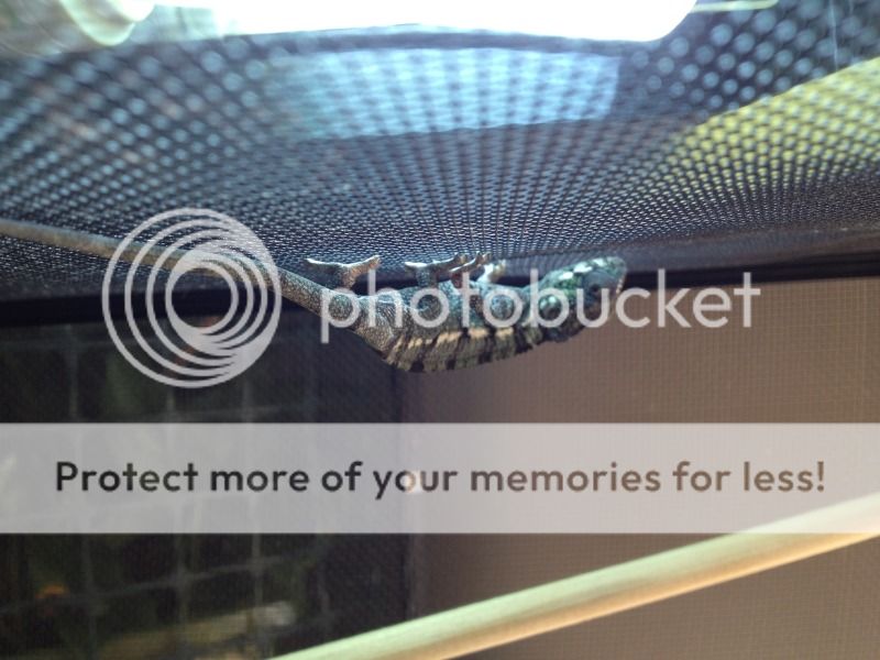 PhotoSep1224052PM.jpg