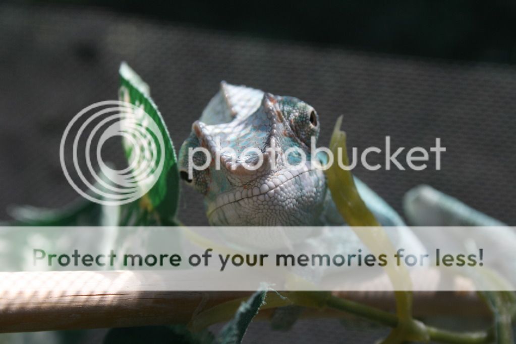 outsidepics012.jpg