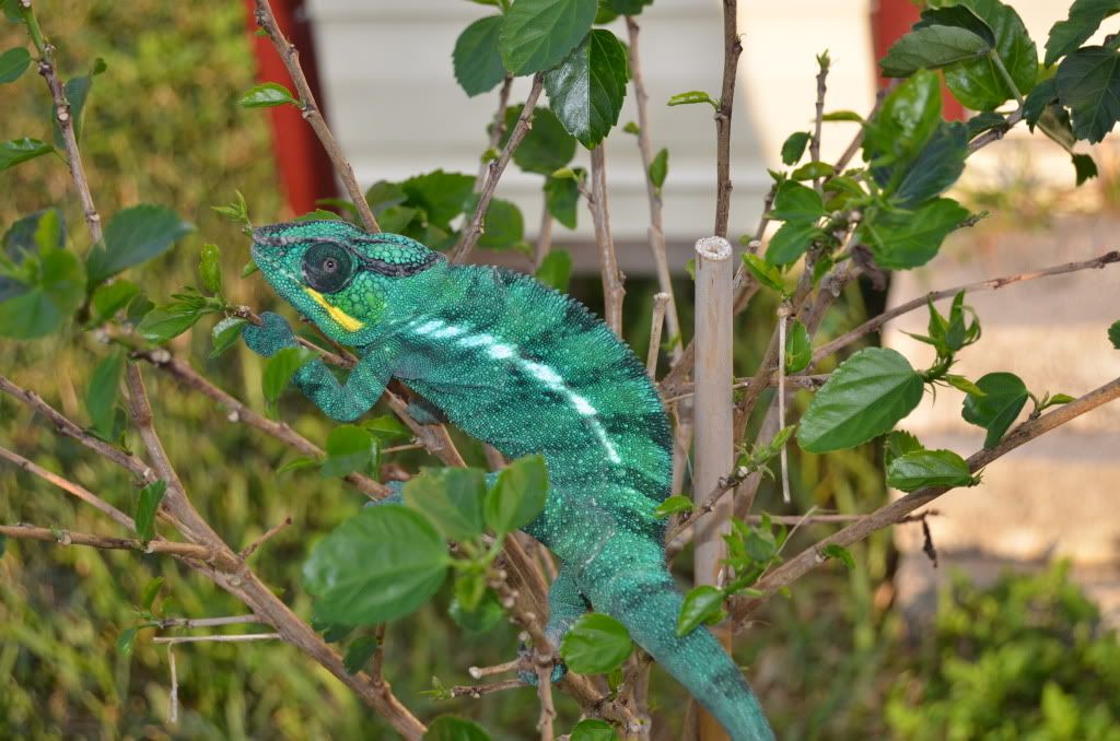 DSC_0958.jpg