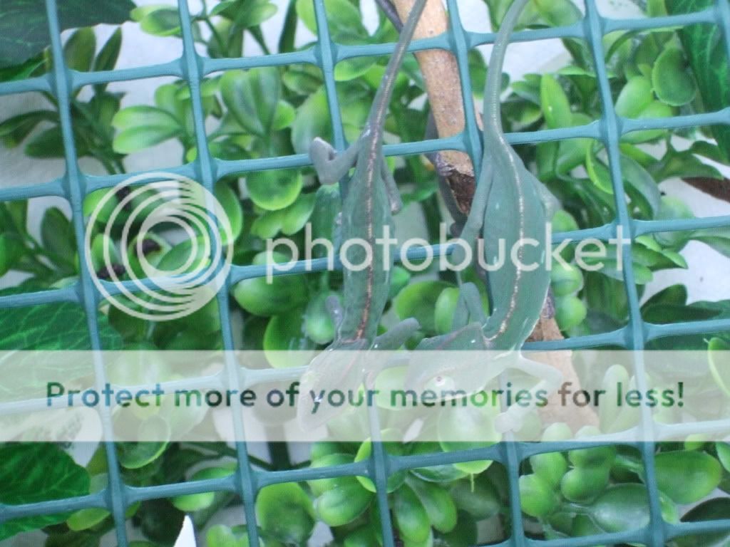 9-12-2010004.jpg