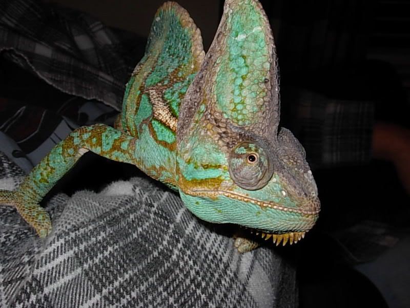 DSCN3209.jpg