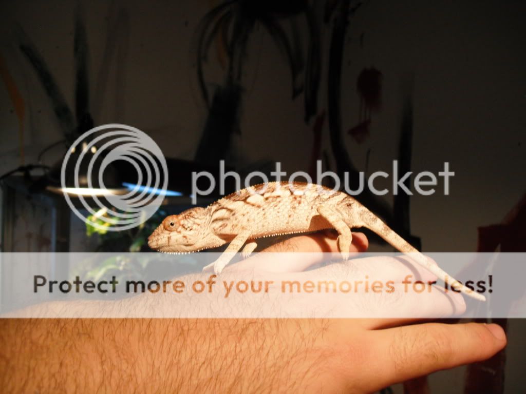 DSCF0279.jpg