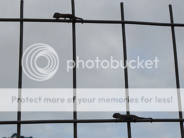Newcamera26thSep201200101.jpg