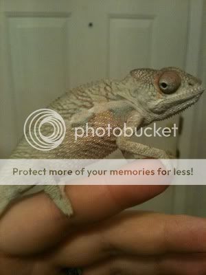 IMG_1257_zps0aa0736e.jpg
