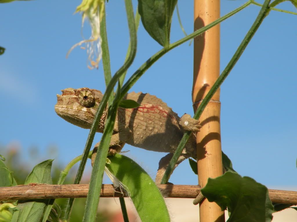 DSCN8175.jpg