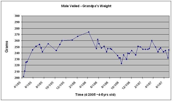 Weight4.jpg