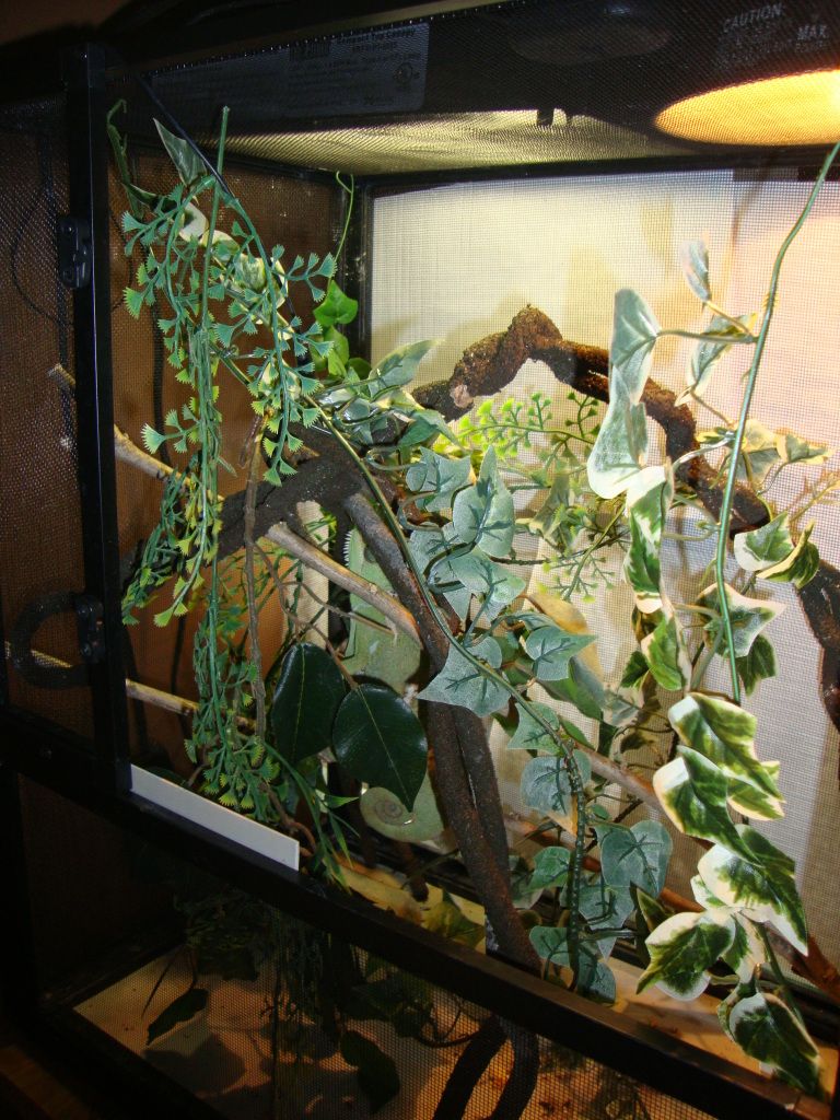 DSC02505.jpg