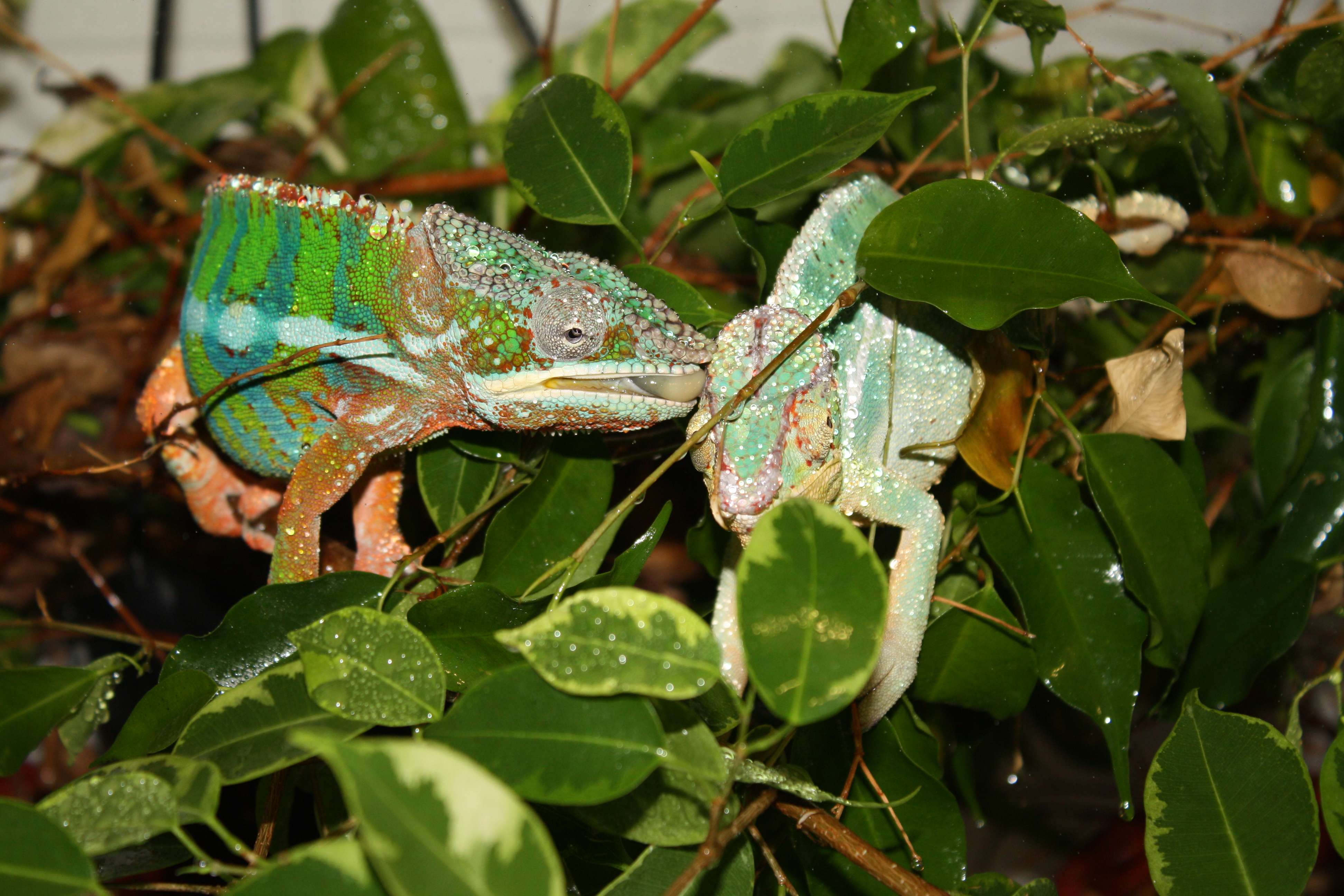 img3829u.jpg