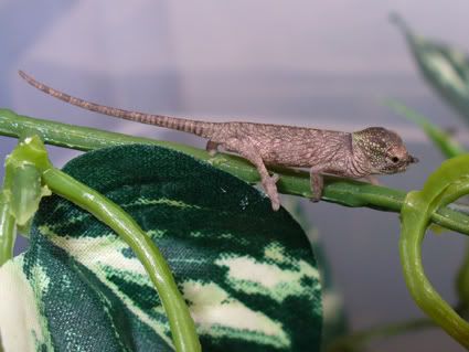 baby04.jpg