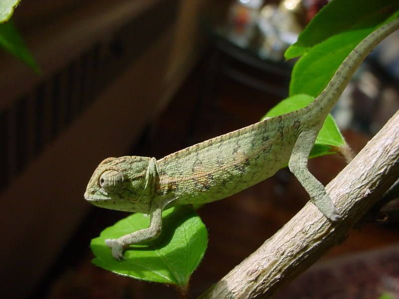PicsSept508005.jpg