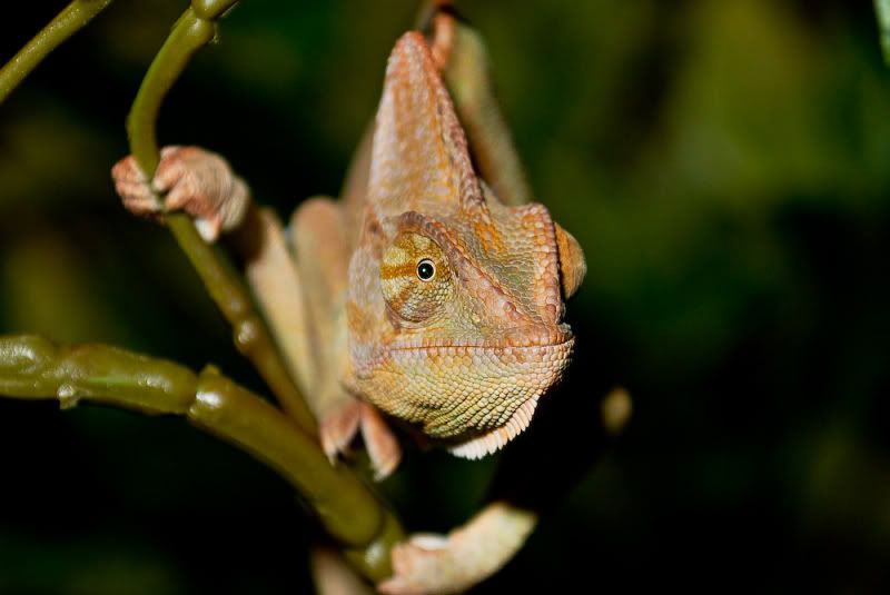 DSC_0404-3.jpg