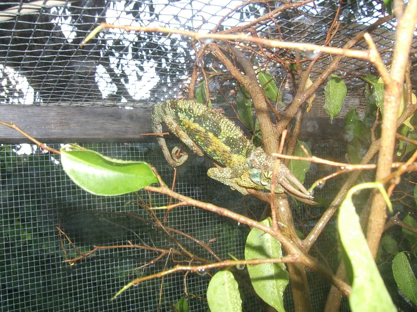 DSCF8120.jpg