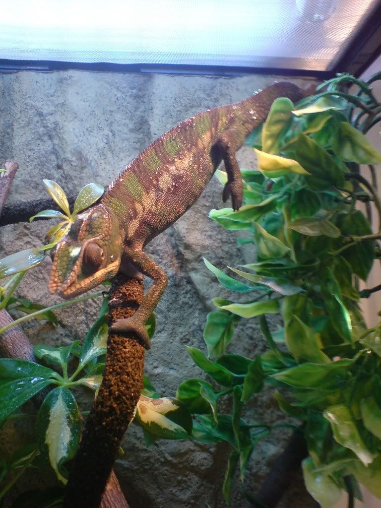 DSC01767.jpg