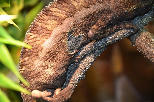 8169670648_38d0f83949.jpg