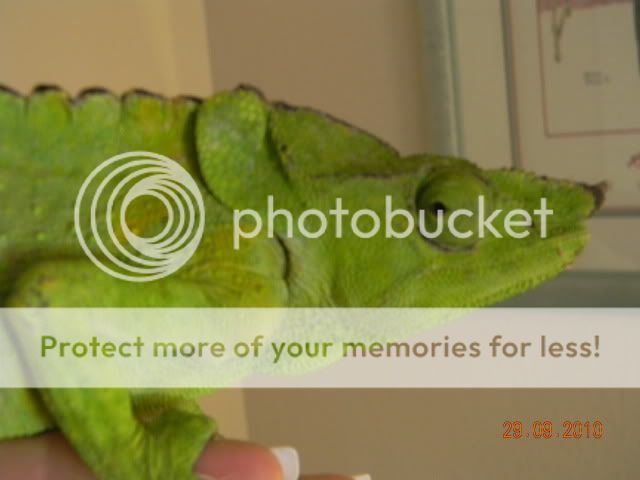 DSCN0151.jpg