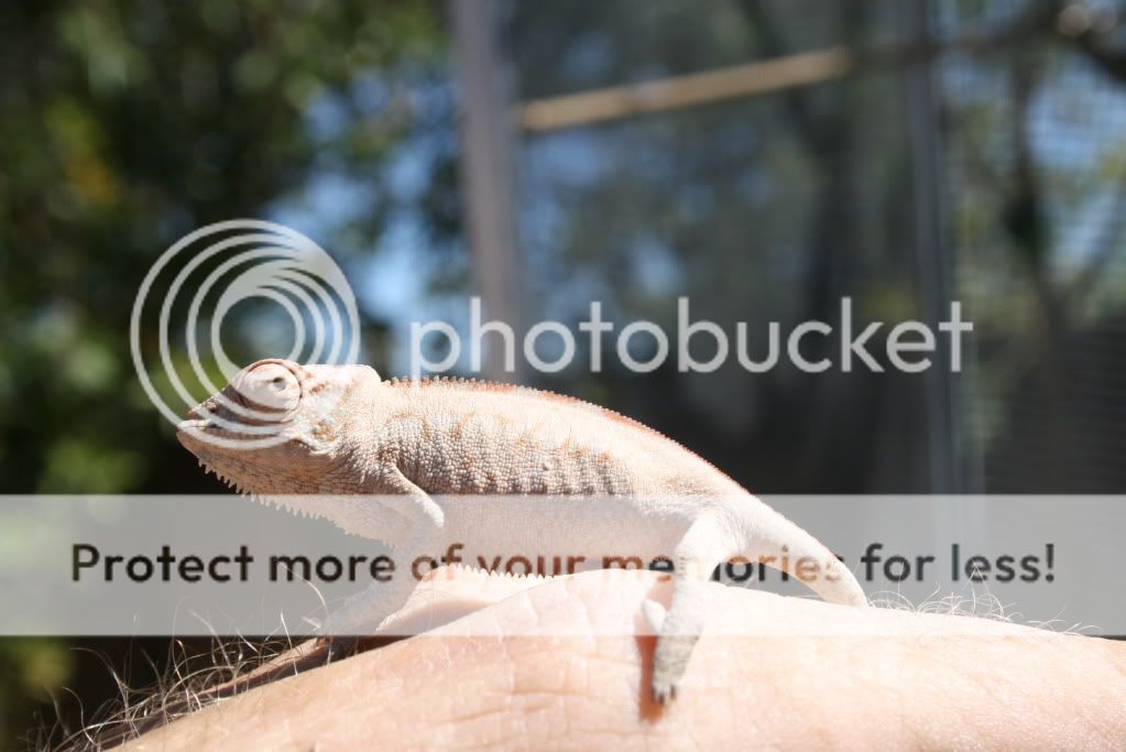 eospics9-19-09001-9.jpg