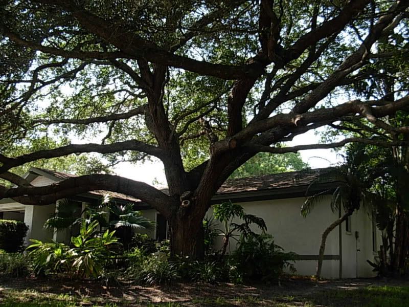 DSCN4438.jpg