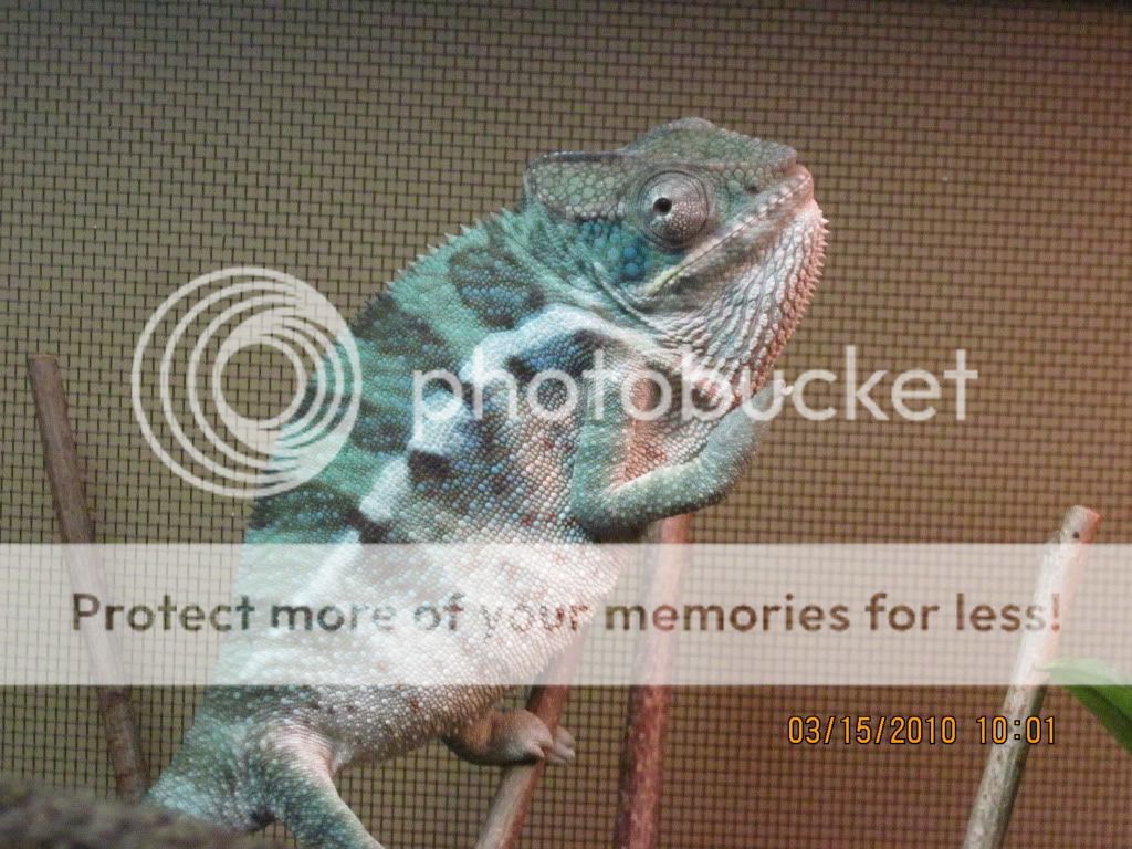 winter2009-2010009.jpg