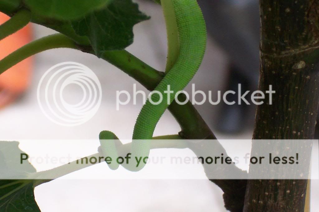 25thJuly060.jpg