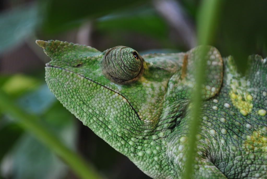 DSC_00282.jpg