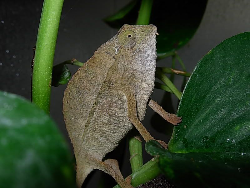 DSCN0892.jpg