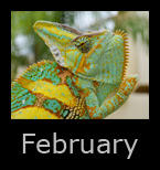 february.jpg