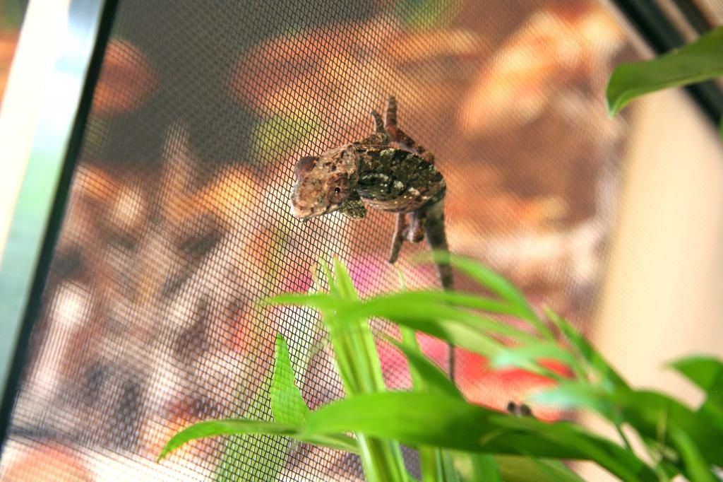 IMG_5325.jpg