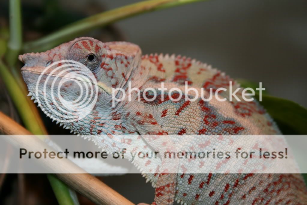 sunpics015.jpg