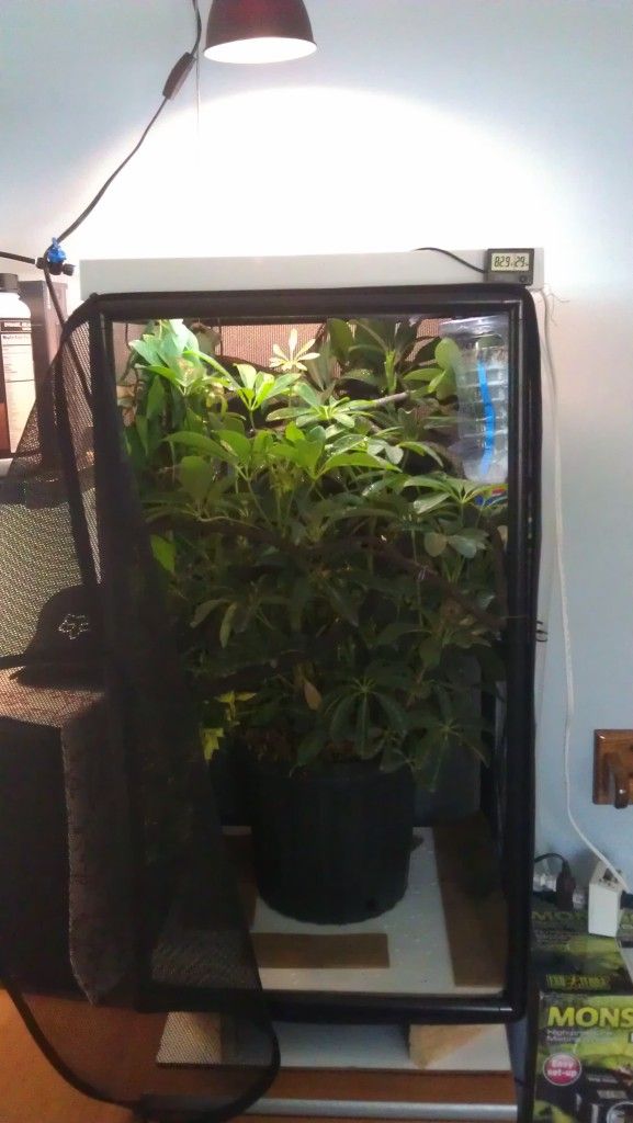 IMAG0273.jpg