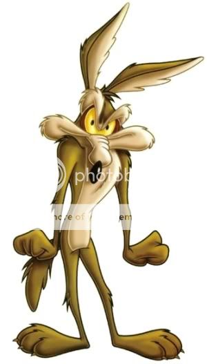coyote-wile-e.jpg