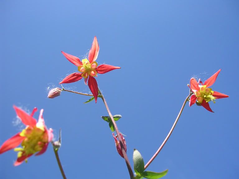 DSCN0416.jpg