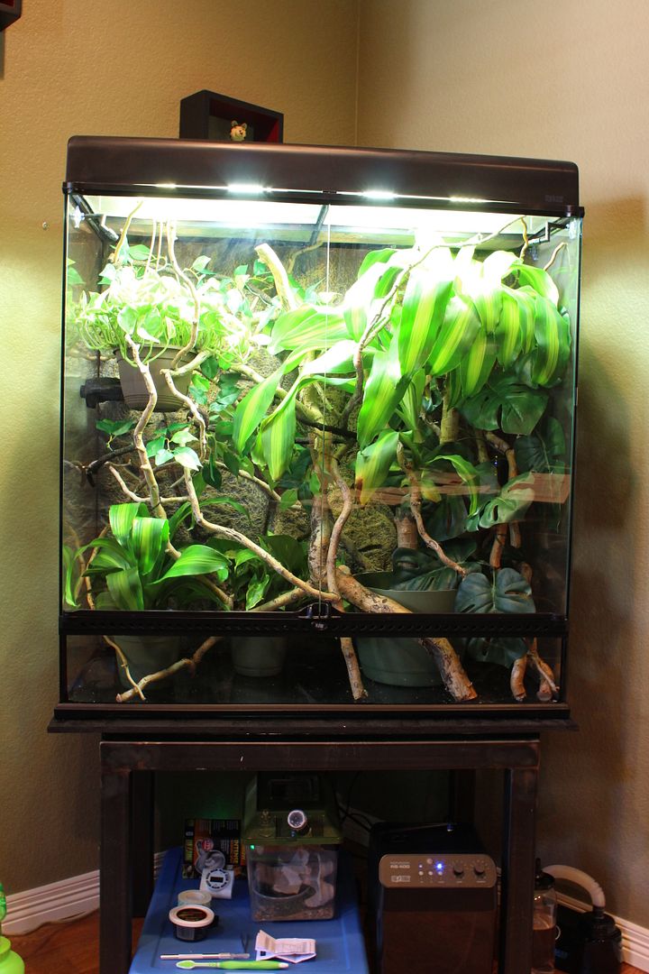 NewCage005.jpg