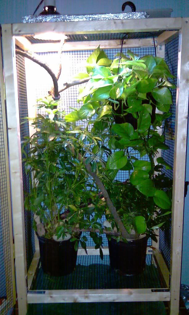 IMAG0009.jpg