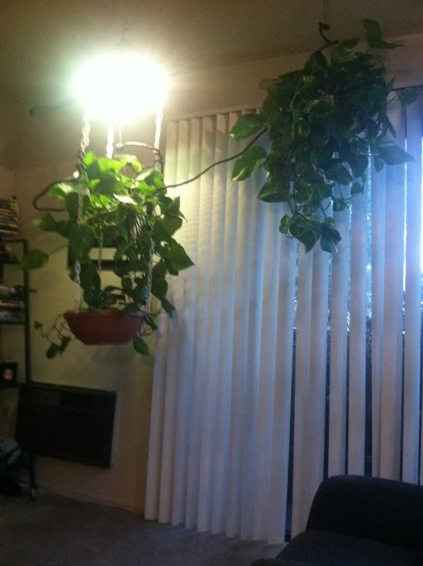 photo-9.jpg