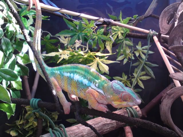 DSC00298-1.jpg