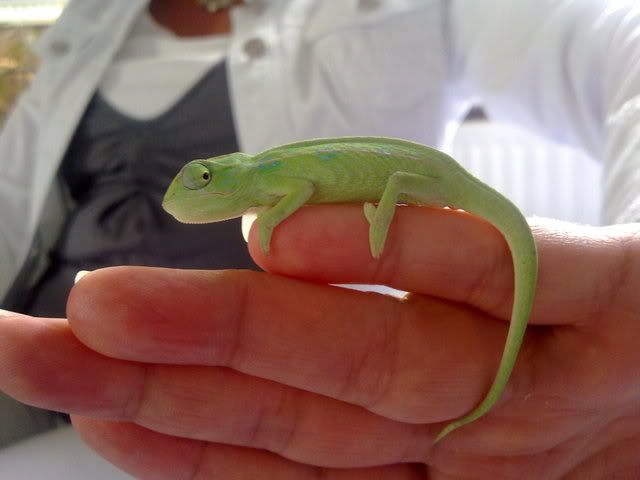 15052011723.jpg